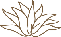 dug-marquee-agave